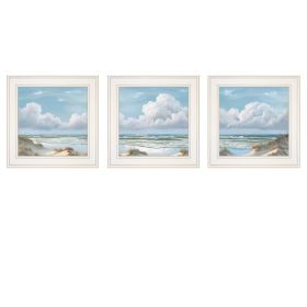 Trendy Decor 4U "Beautiful Day I,II, III" Framed Wall Art, Modern Home Decor 3 Piece Vignette for Living Room