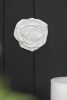 S/2 White Rose Hanging Wall Accents