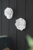 S/2 White Rose Hanging Wall Accents