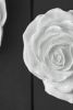 S/2 White Rose Hanging Wall Accents