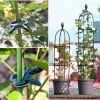 2 Packs Garden Obelisk Trellis 5.9FT Plants Tower for Climbing Plants Flower Vegetable Vine Ban on Amazon sales